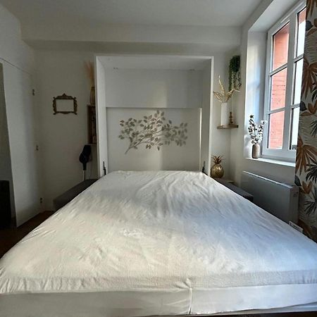 Casa Nostra - T1 - Terrasse Privative Apartman Toulouse Kültér fotó