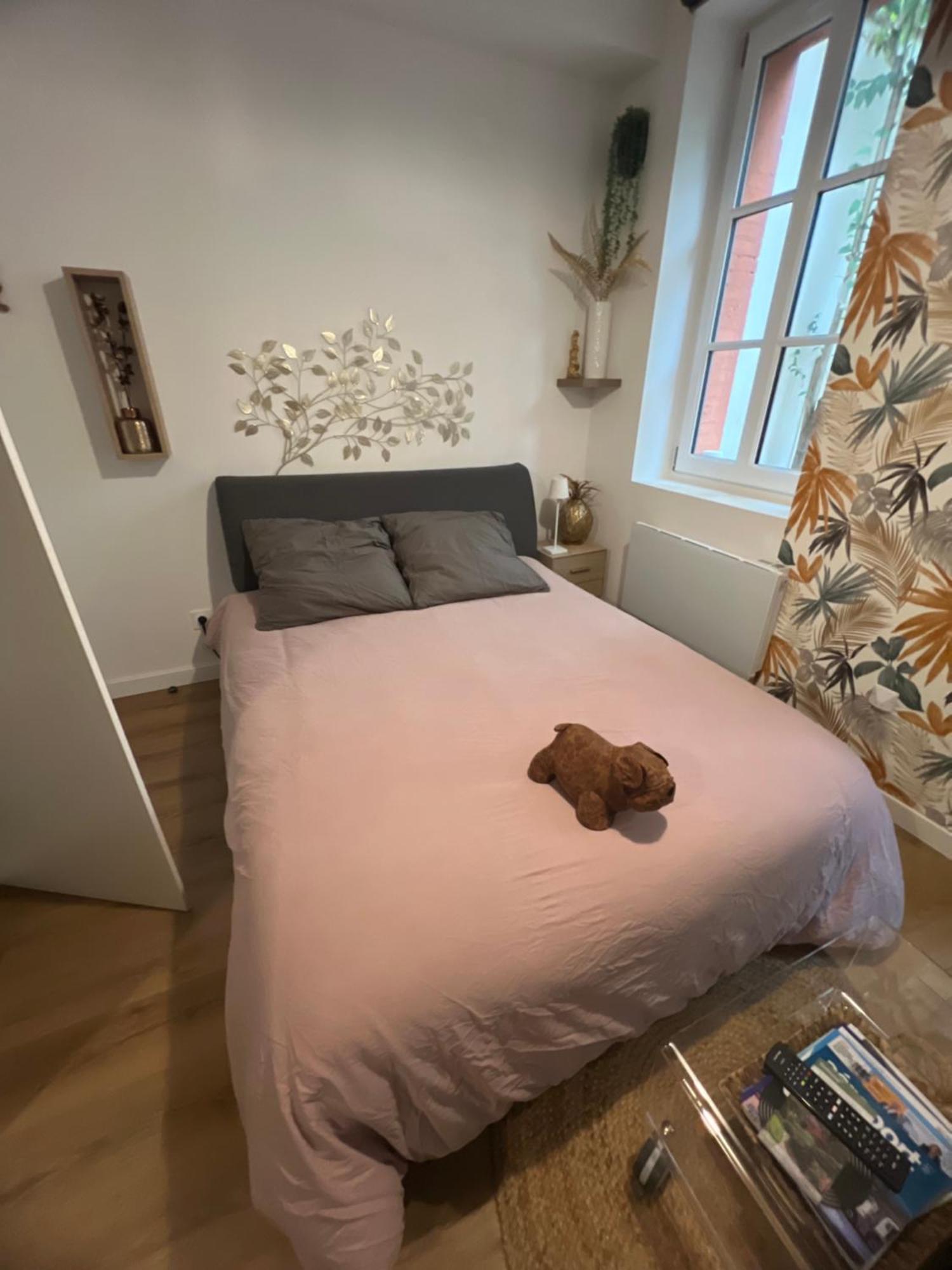 Casa Nostra - T1 - Terrasse Privative Apartman Toulouse Kültér fotó