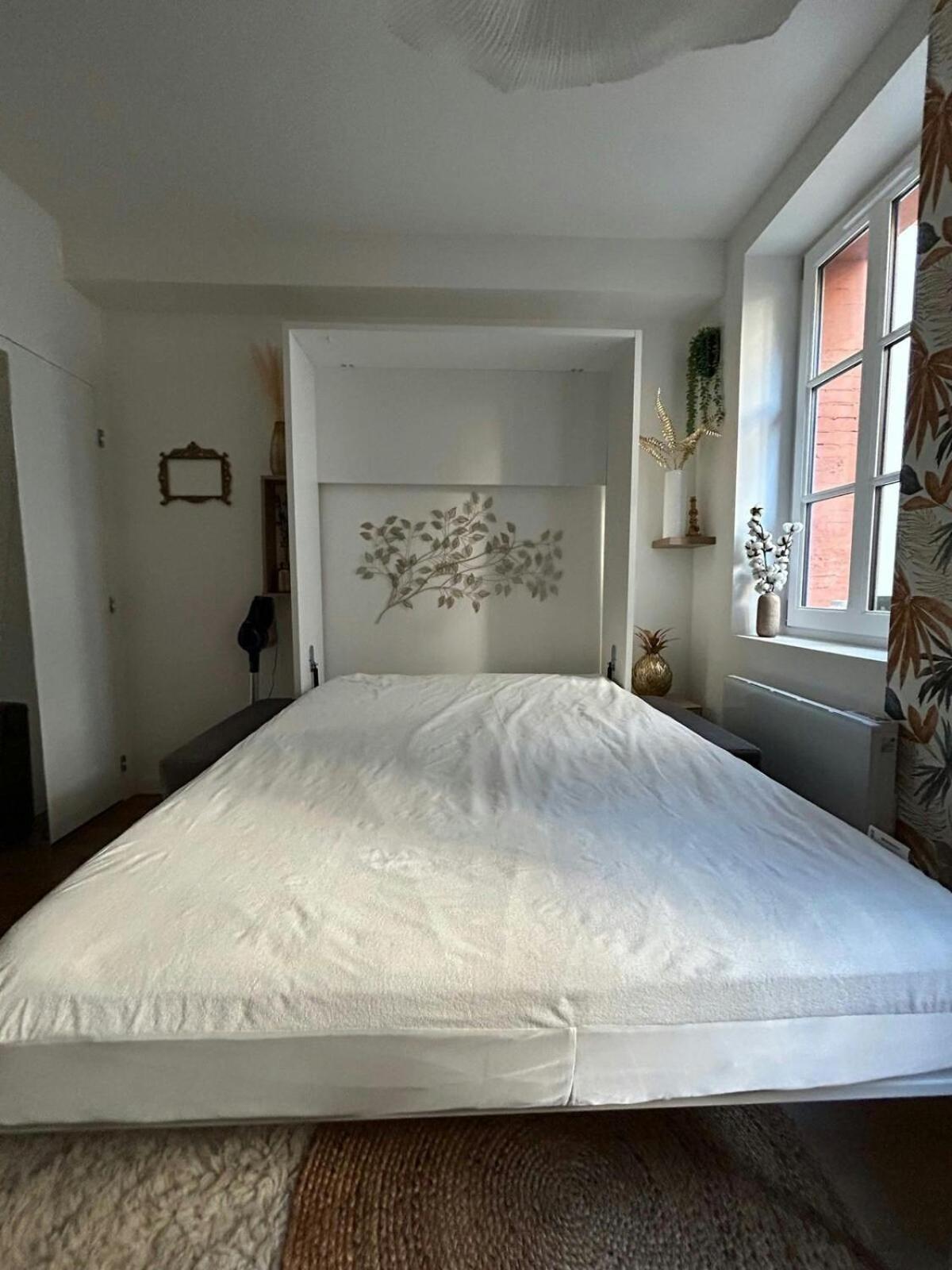 Casa Nostra - T1 - Terrasse Privative Apartman Toulouse Kültér fotó