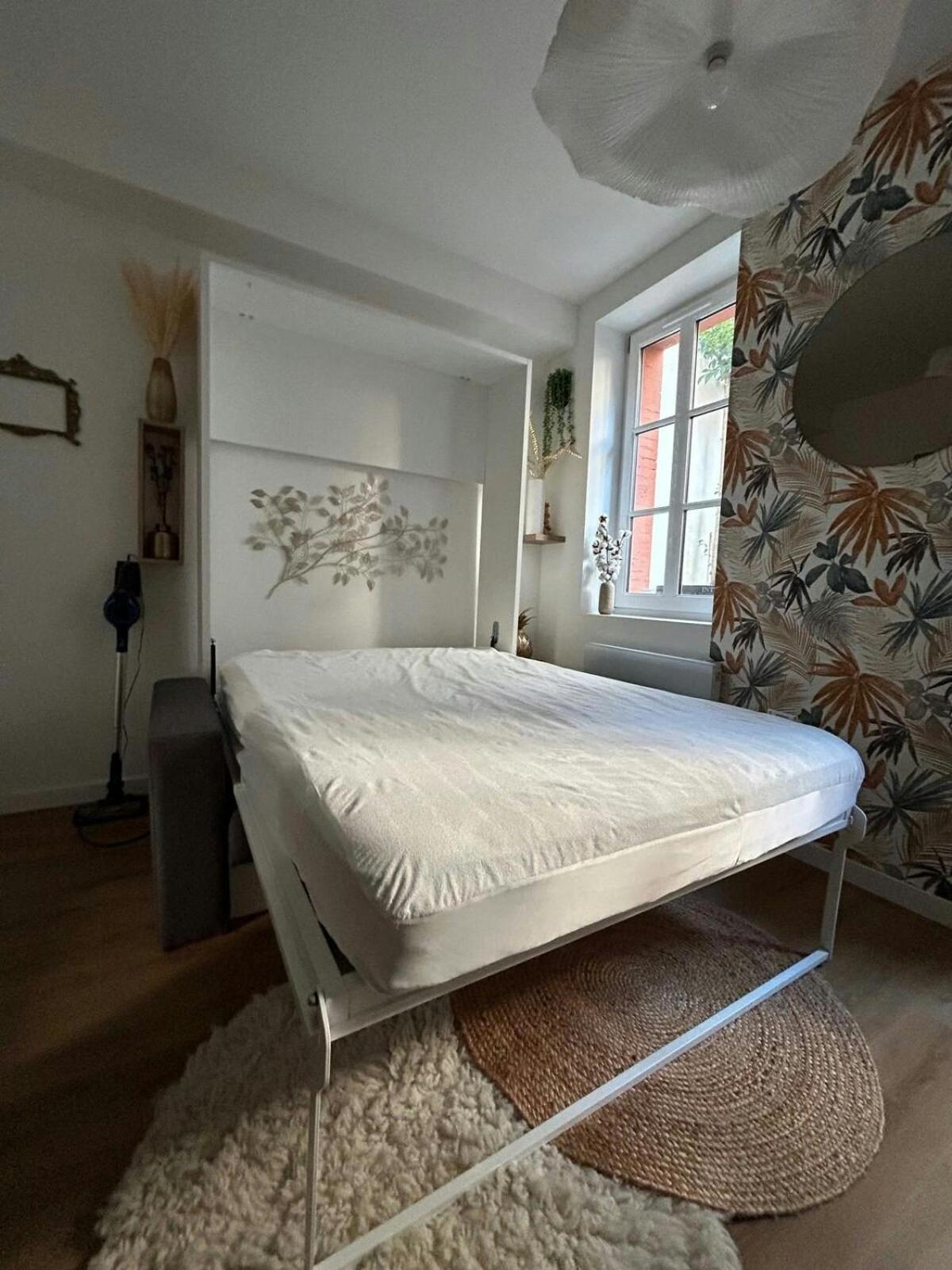 Casa Nostra - T1 - Terrasse Privative Apartman Toulouse Kültér fotó